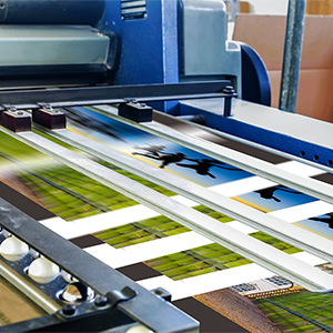 Professional Commercial Printing Services and PrintArt